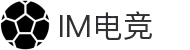 IM(股份有限公司)电竞-电子竞技平台